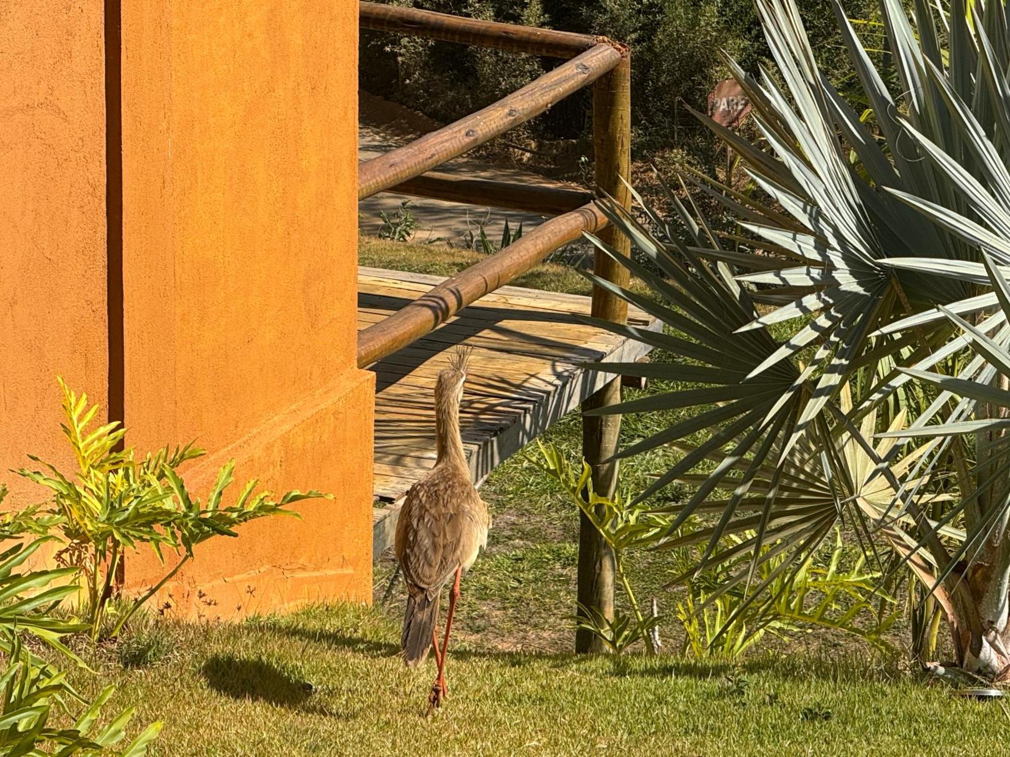 Pousada Guardiã da Canastra Vargem Bonita Exterior foto